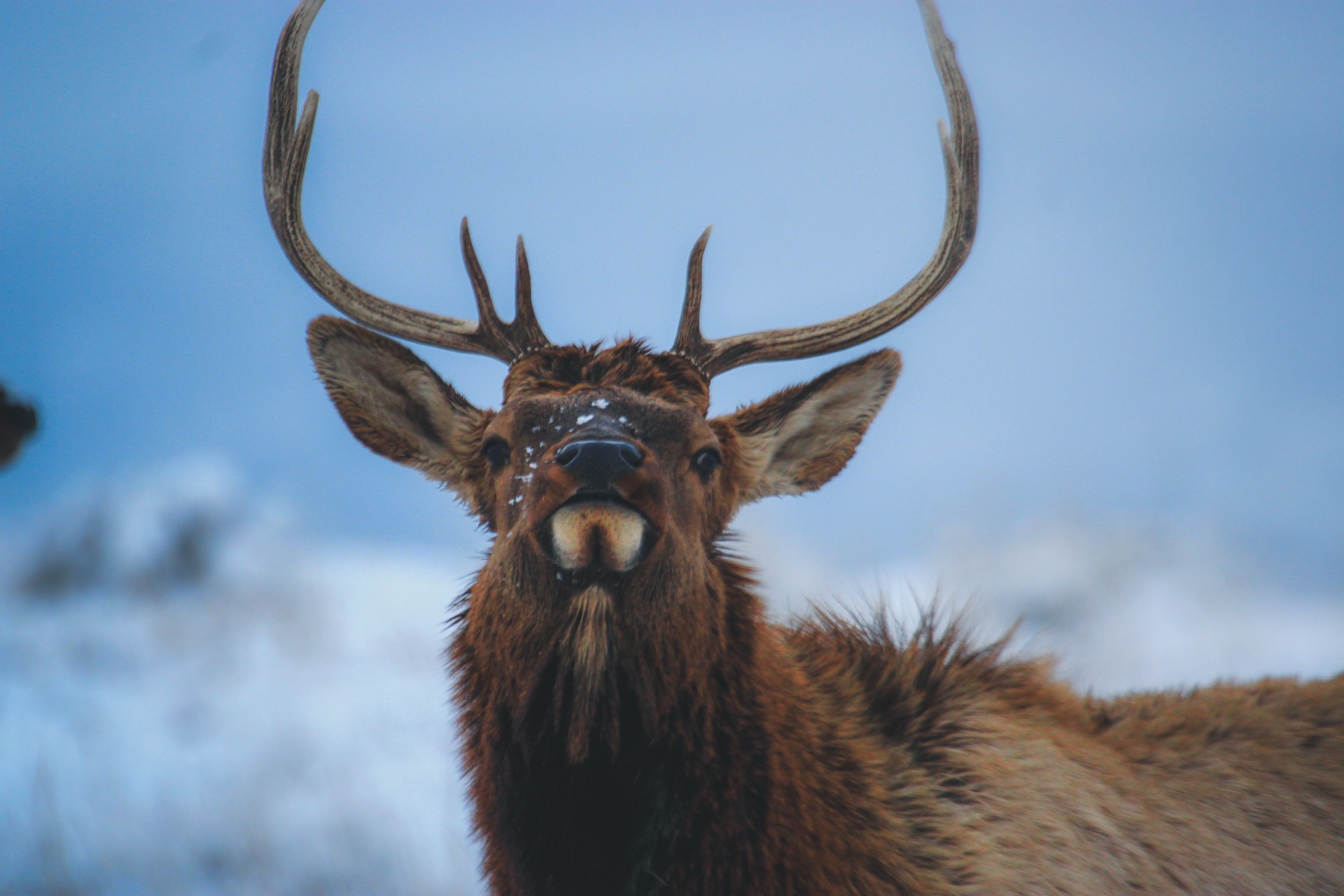 Wildlife & Nature